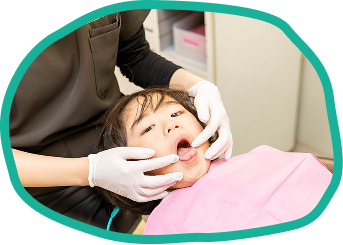 豊富な実績と信頼