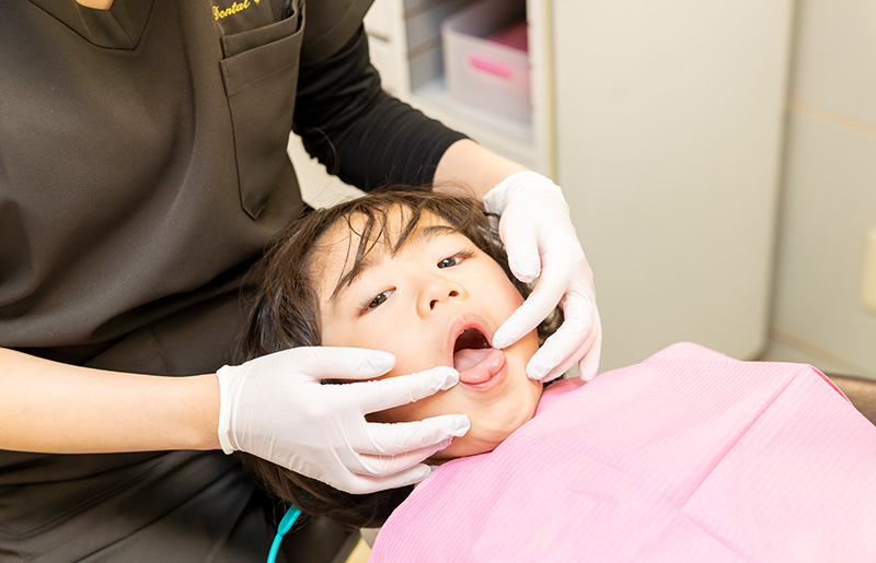 顎のスペース不足が叢生を招く理由